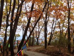 -五女山景区