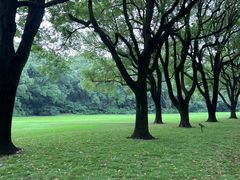-西郊宾馆·1921餐厅