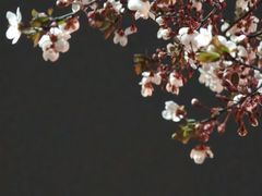 -河南省黄河迎宾馆