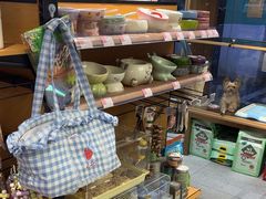 -FAELING PETS美天灵宠物(富力广场店)