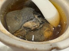 -安蒂娅·海鲜自助餐厅(安蒂娅美兰酒店)