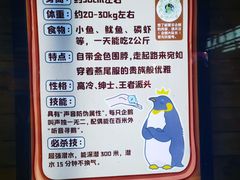 -大连圣亚海洋世界