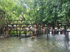 -南湾猴岛+椰田古寨一日游