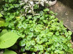 -About Bistro關於·泰式家庭料理