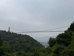 -南丹山森林王国