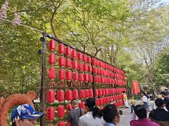 -哈密回王府景区