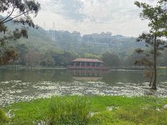 -顺峰山公园
