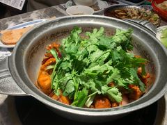 -禄婶鸡煲·打边炉