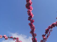 -燕窝岭