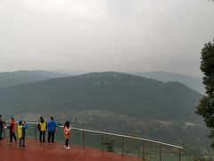 -铁山坪森林公园