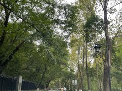 -狼山风景名胜区