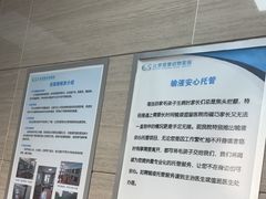 -北京观赏动物医院·24小时大型综合·猫专科·异宠专科