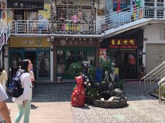 -猫咪博物馆(顶澳仔猫街店)