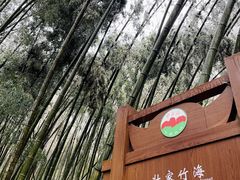 -金子山原生态旅游风景区