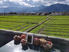 -喜林苑·稻田餐厅(品相府店)