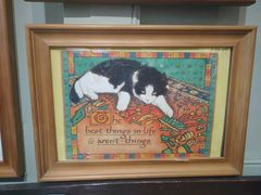 -猫咪博物馆(顶澳仔猫街店)