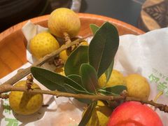 -季季山·云南野生菌火锅(上海首店)