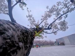 -龙美术馆(西岸馆)