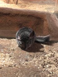 -酷嗒动物文化乐园(cutezoo西溪乐天城店)