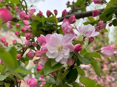 -元大都城垣遗址公园