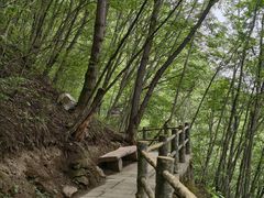 -塔云山
