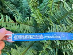 -成都银泰中心in99