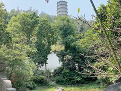 -深圳国际园林花卉博览园