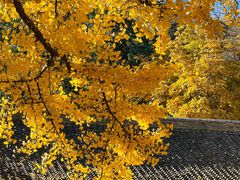 -红螺寺