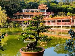 -深圳仙湖植物园