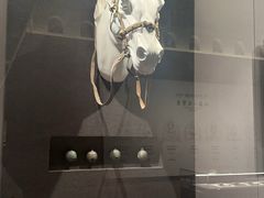 -青海藏文化博物院