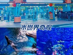 -海合安武汉极地海洋公园