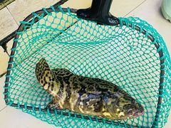 -鑫鸿达·海鲜闽菜热炒小馆(中山路店)