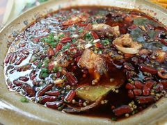 -青城甲(青城山店)