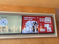 -帕帕拉兹宠物(亚洲旗舰店)