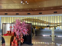 -青岛得宝湾维景国际大酒店(五四广场奥帆中心店)