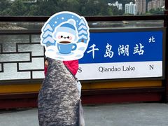 -千岛湖城中湖游船码头