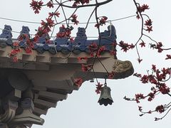 -广州中山纪念堂