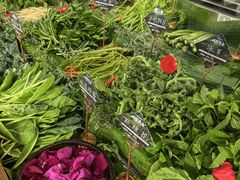 -慢丽江·云南野生菌土鸡锅(付家庄店)