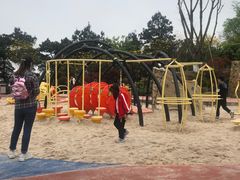 -铁山坪森林公园