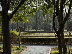 -洛阳市隋唐城遗址植物园