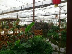 -汤山翠谷生态餐厅