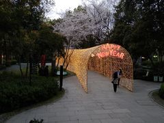 -西湖天地