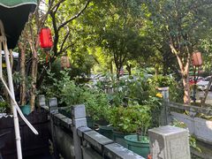 -阿巧茶庄