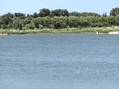 -野鸭湖国家湿地公园