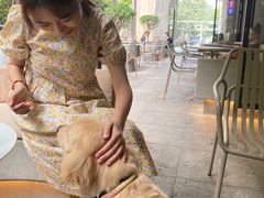 -大小咖啡 BigSmallCoffee(麦子店)