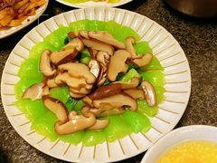 -鲸励母婴月嫂(望京店)