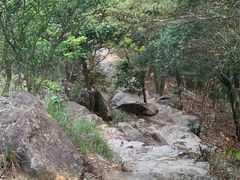 -梧桐山风景名胜区