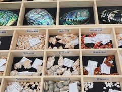 -万达广场(武汉菱角湖店)