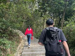 -火炉山森林公园