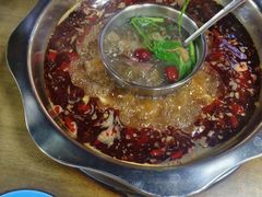 -金鼎雪山牦牛杂火锅(理县总店)